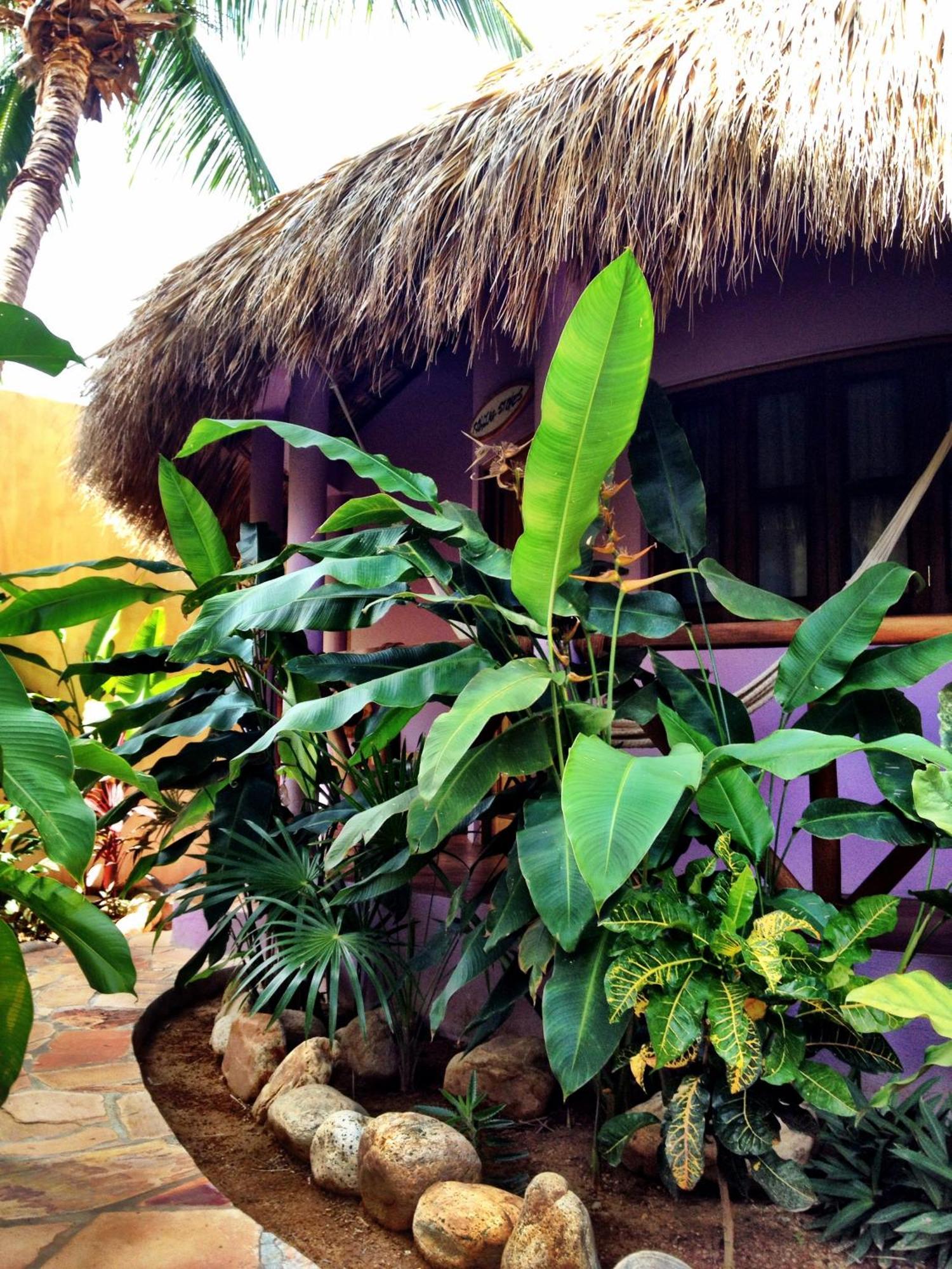 One Love Hostal Puerto Escondido ห้อง รูปภาพ